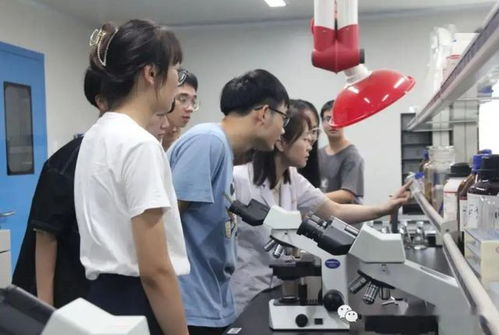 教育的本真 從能力提升到職業選擇——解析大學生不愿進工廠現象